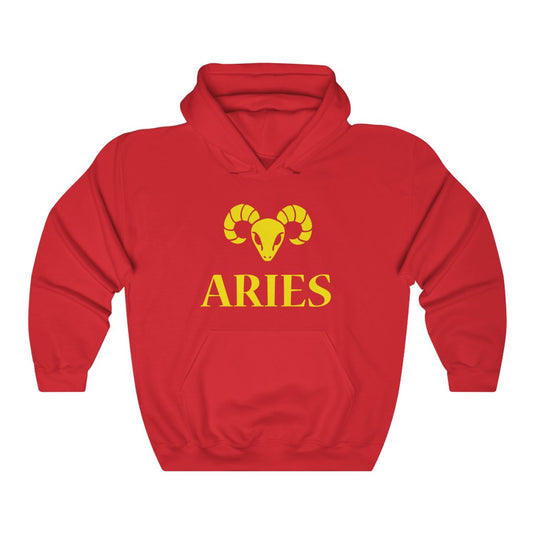 ARIES Heavy Blend™ Hoodie-Degree T Shirts
