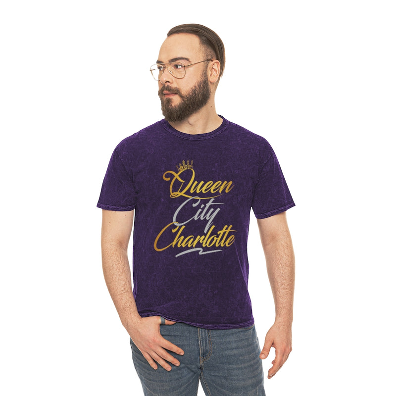 Load image into Gallery viewer, Charlotte City Mineral Wash T-Shirt