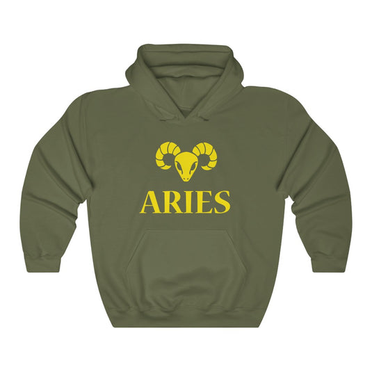 ARIES Heavy Blend™ Hoodie-Degree T Shirts