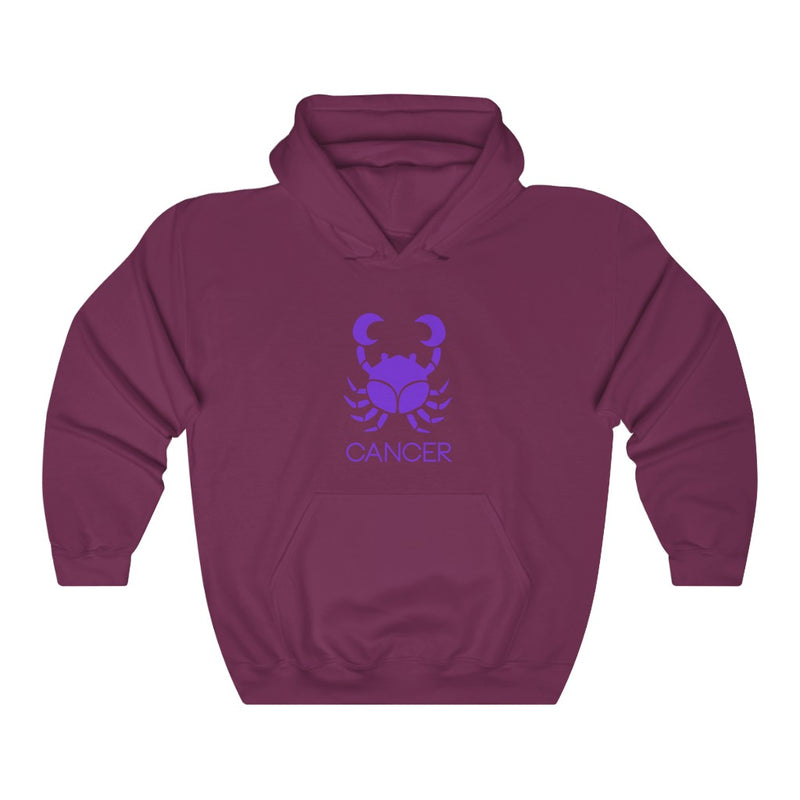 Load image into Gallery viewer, CANCER Hooded Sweatshirt-Degree T Shirts