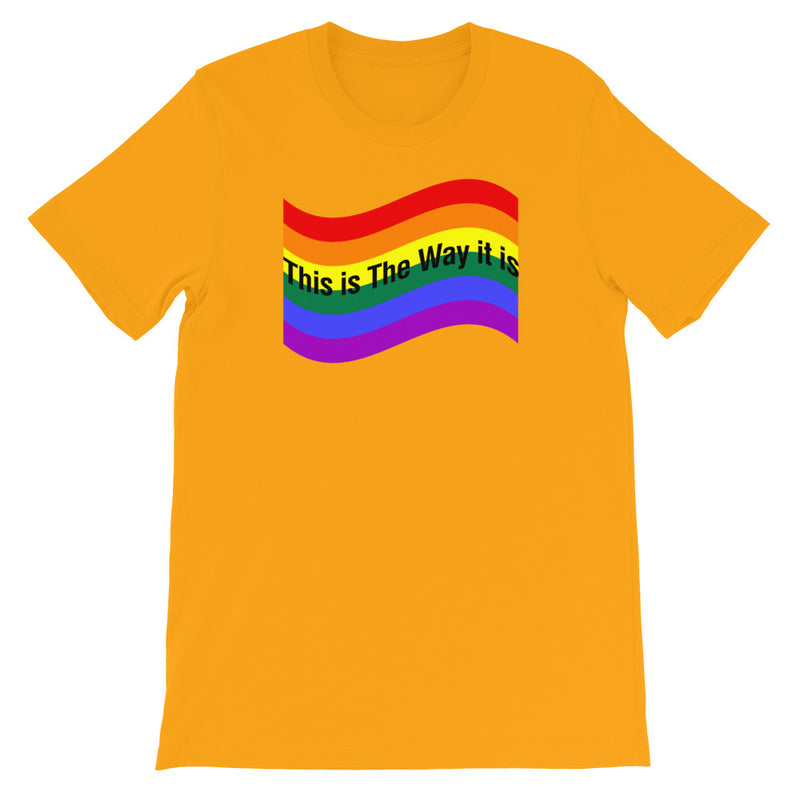 Load image into Gallery viewer, "PRIDE" FULL Flag-Degree T Shirts