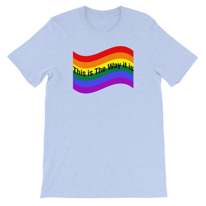 Load image into Gallery viewer, "PRIDE" FULL Flag-Degree T Shirts