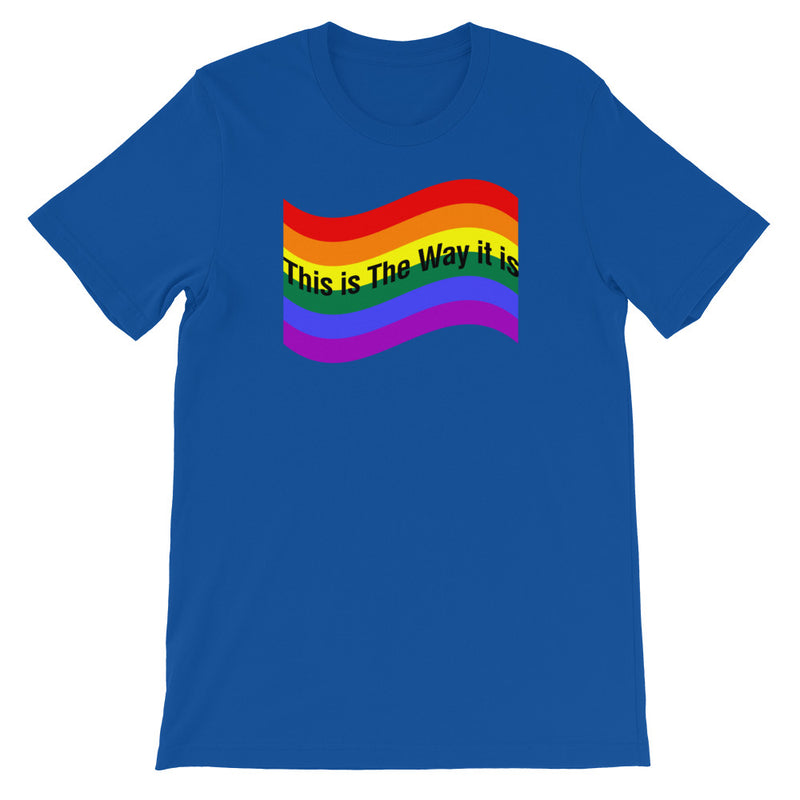 Load image into Gallery viewer, "PRIDE" FULL Flag-Degree T Shirts