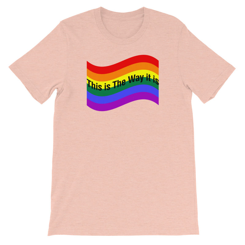 Load image into Gallery viewer, "PRIDE" FULL Flag-Degree T Shirts