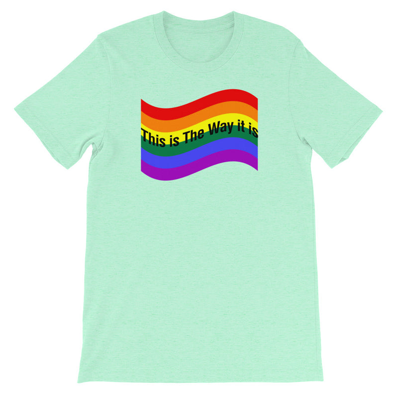 Load image into Gallery viewer, "PRIDE" FULL Flag-Degree T Shirts