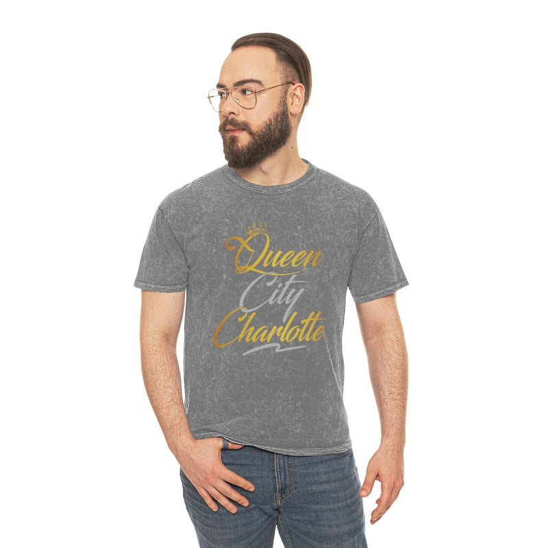 Load image into Gallery viewer, Charlotte City  Mineral Wash T-Shirt
