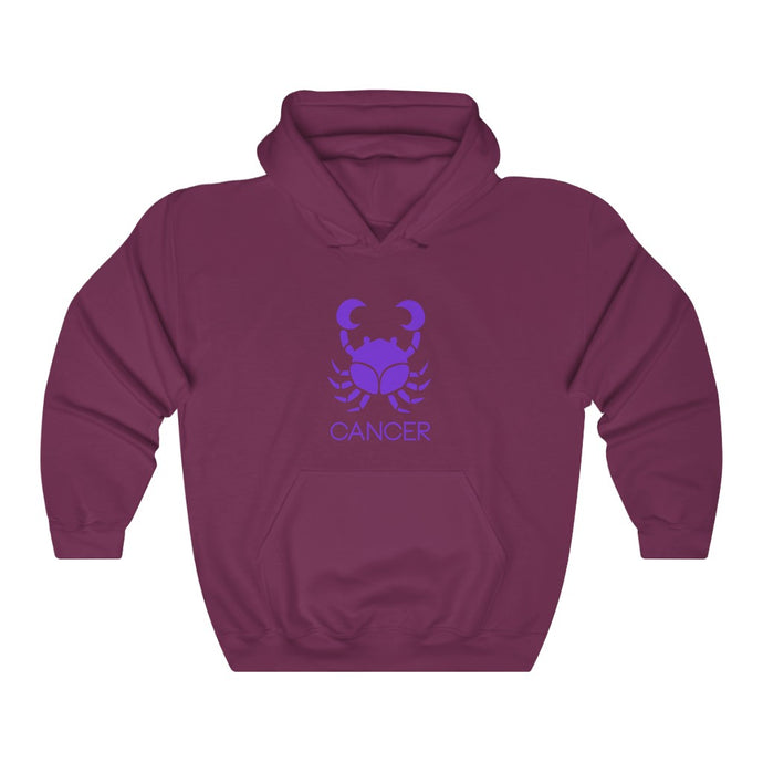 CANCER Hooded Sweatshirt-Degree T Shirts