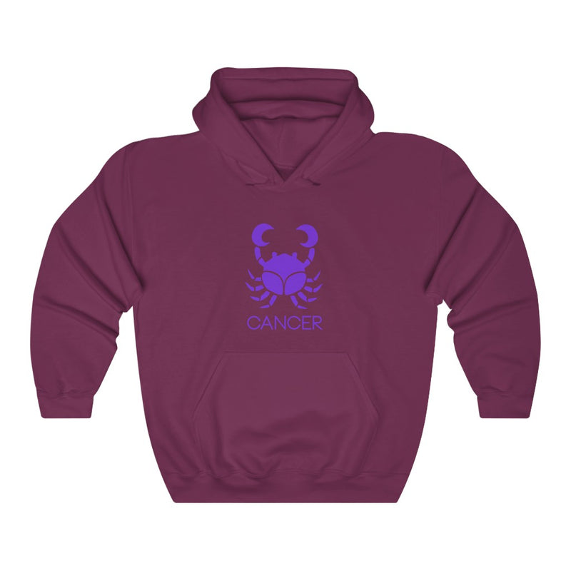 Load image into Gallery viewer, CANCER Hooded Sweatshirt-Degree T Shirts
